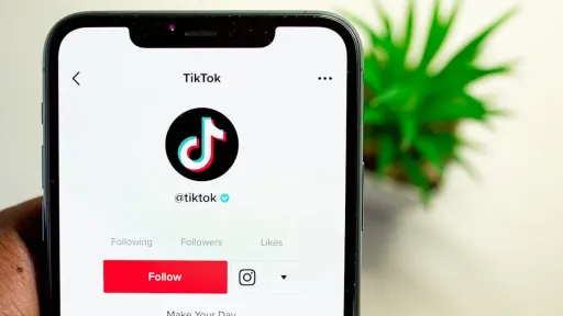 pexels-solenfeyissa-tiktok