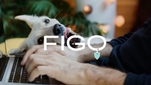 Case Figopet - Follo