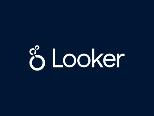 Looker partner