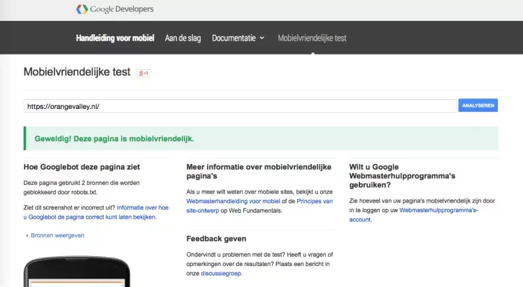 Google Mobile friendly test tool