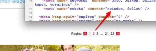 Voorbeeld paginering en meta tag robots (noindex,follow) 