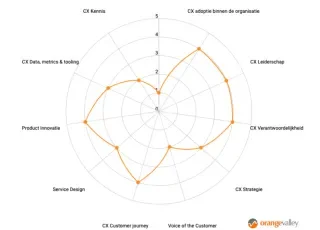 CX Maturity scan resultaat