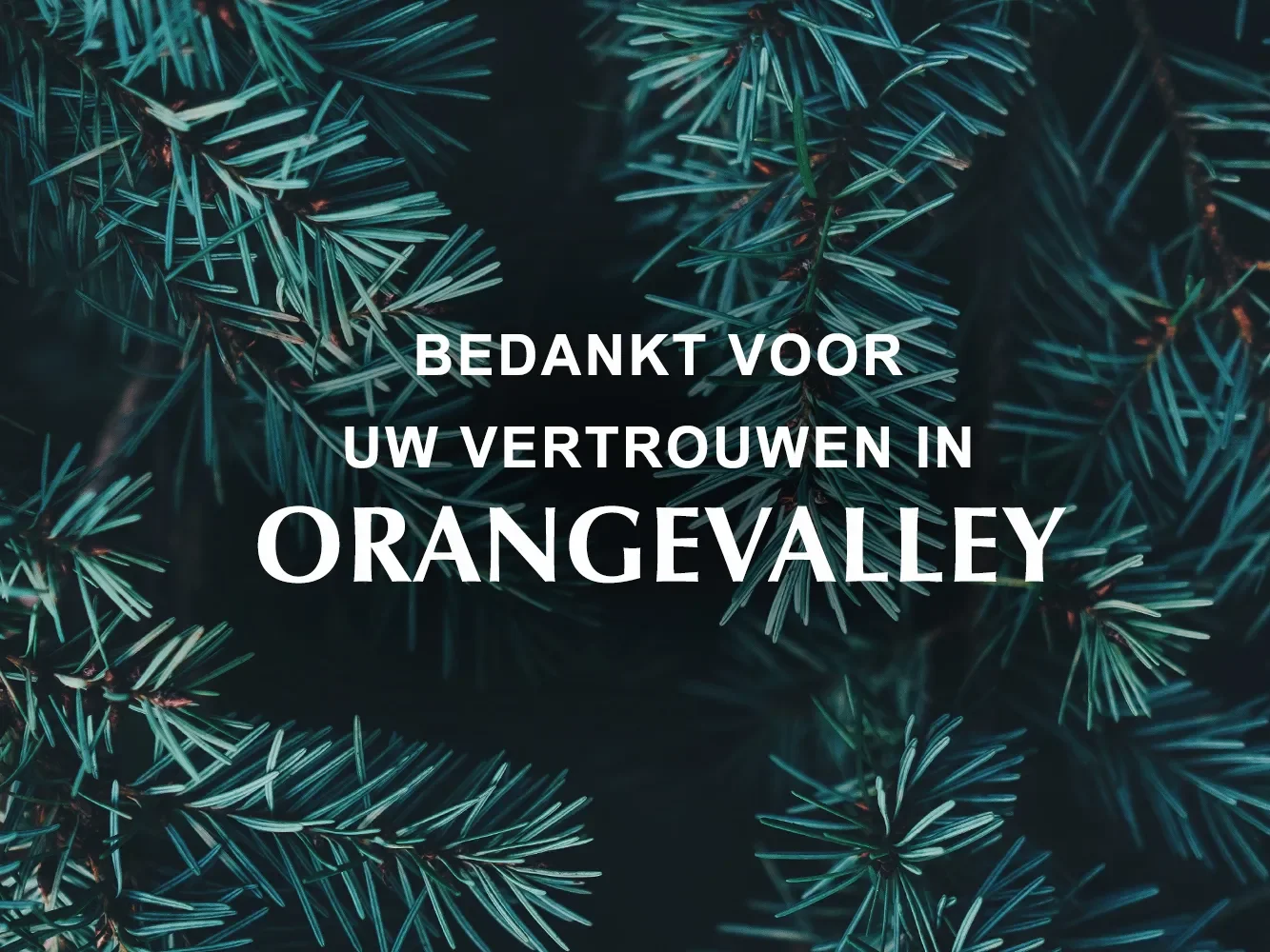 bedankt-orangevalley