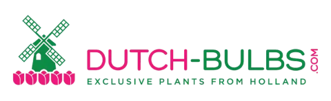 DutchBulbs Logo