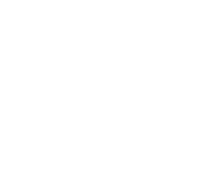 Toyota.png