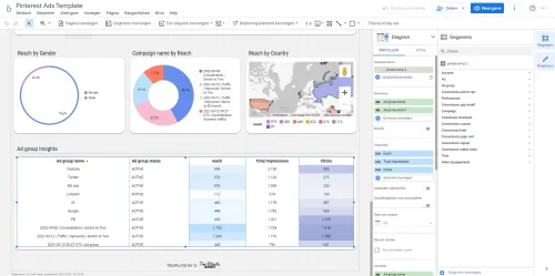Voorbeeld interface Google Looker Studio