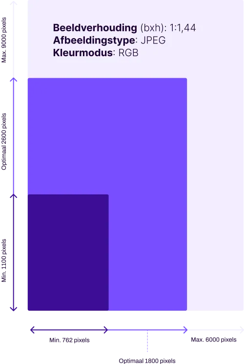 Zalando Afmetingen Productafbeeldingen NL.png
